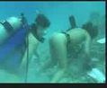 Kena Kentot Didasar Laut